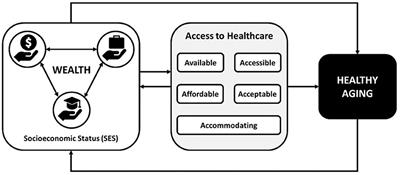 Socioeconomic Status and Access to Healthcare: Interrelated Drivers for Healthy Aging